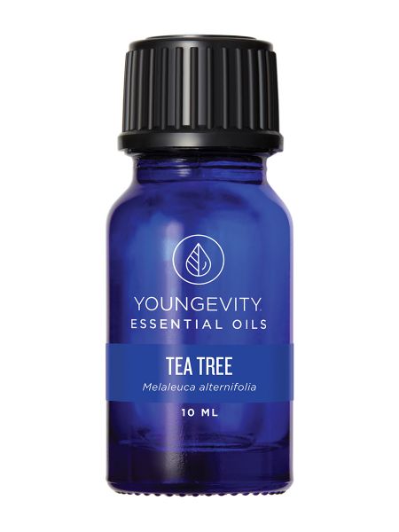 you_essentialoils_tea-tree_single_67037_1200x900